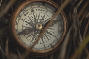 bg-compass-grass_unsplash