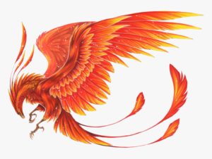 phoenix orange